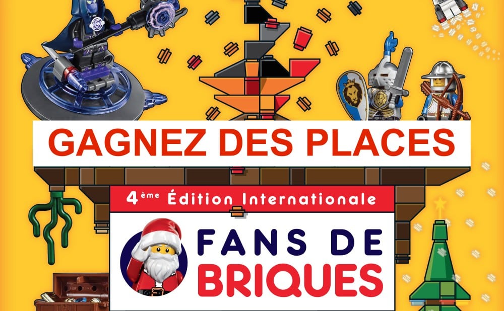fan-briques-lego-bordeaux-2015