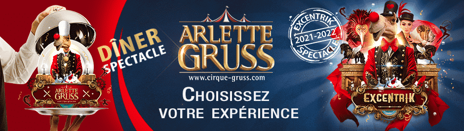 Réduction Cirque Arlette Gruss à Bordeaux
