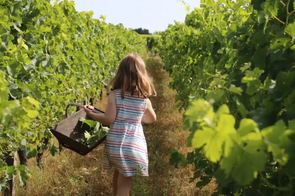 sorties enfants bordeaux activites