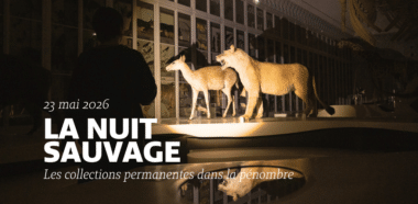 nuit-musées-gironde-2026