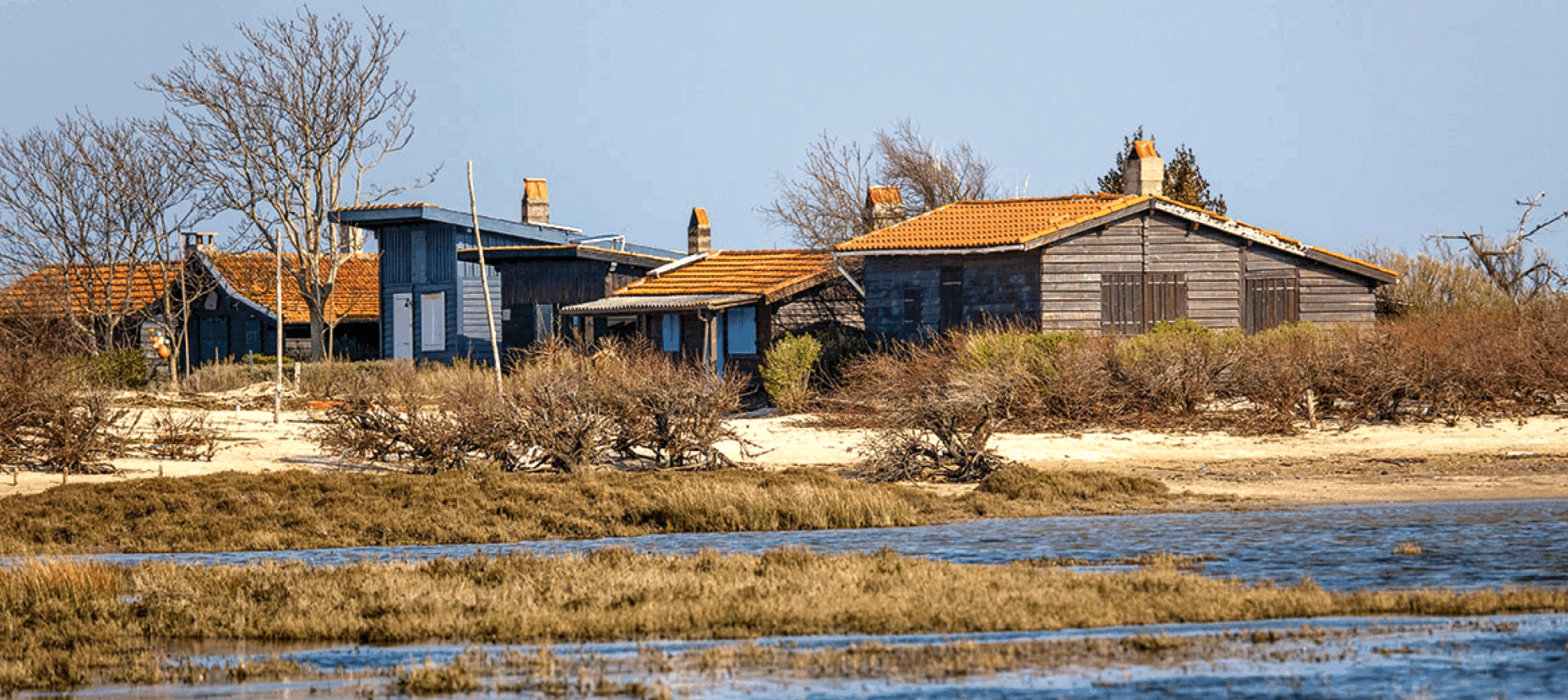 Visiter l'Île aux oiseaux