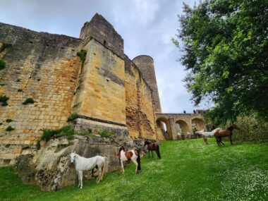 Cour intérieur du château