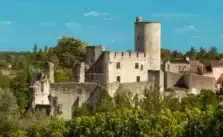 Château de Rauzan médiéval : mon avis, tarifs, horaires et bon plan