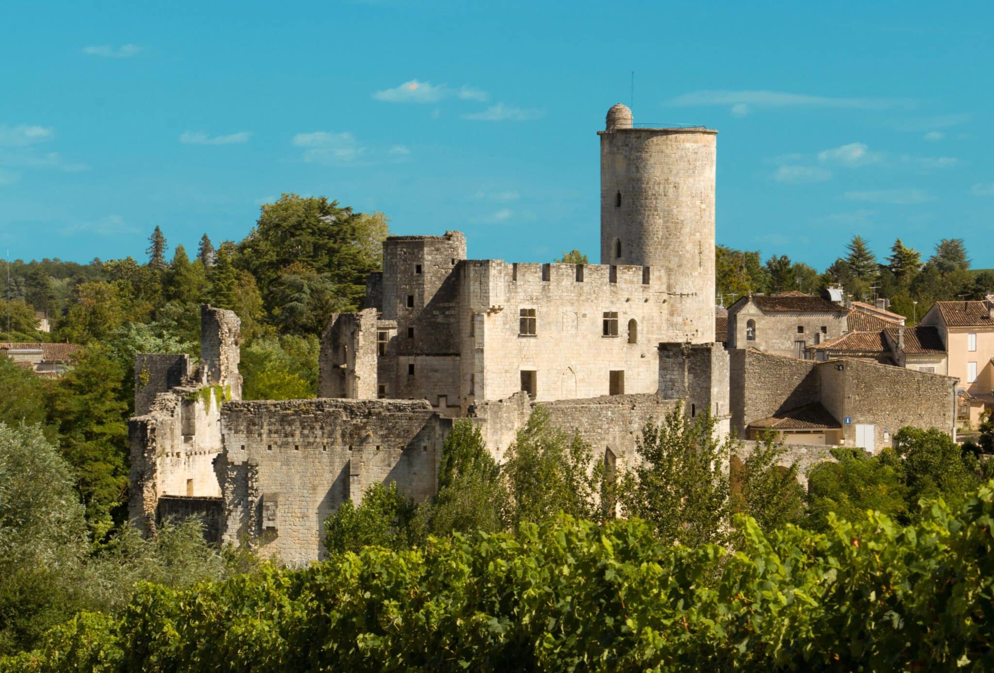 Photo du château de Rauzan : donjon médiéval