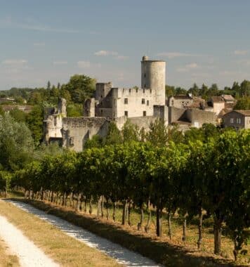 Le Château de Rauzan vue des vignes