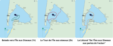 Carte des 3 parcours de l'UBA pour l'Île aux Oiseaux