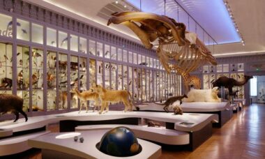 musées-gratuits-bordeaux