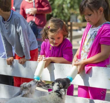 Parc d’attraction famille la Coccinelle à Gujan-Mestras en Gironde