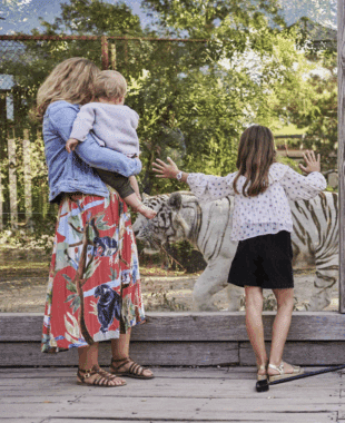 Zoo de Bordeaux-Pessac, activité famille Gironde
