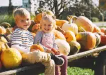 activites-sorties-famille-gironde-weekend-bordeaux