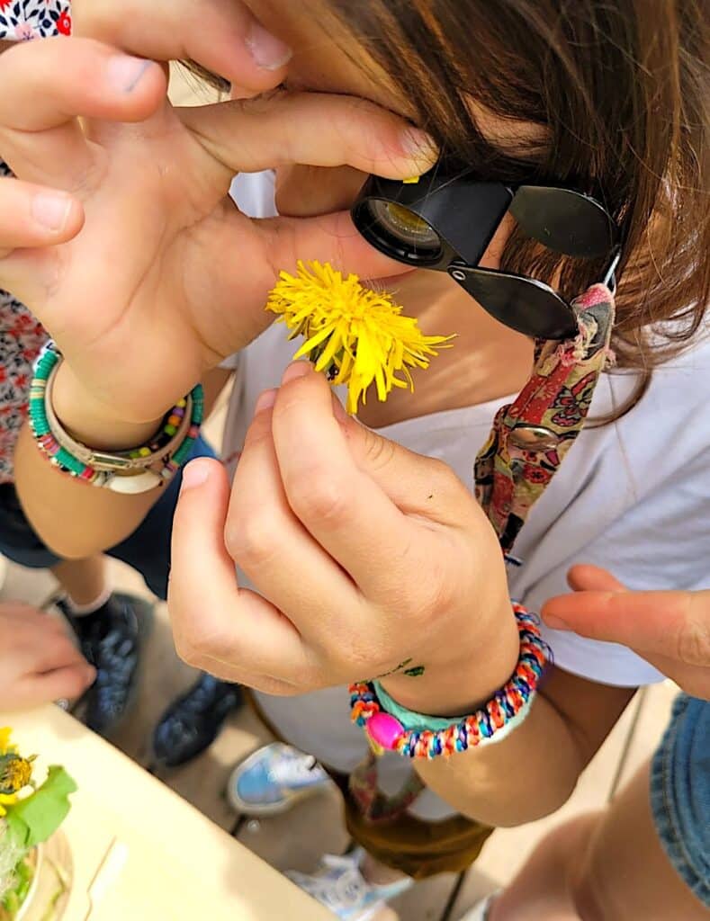 ecole-montessori-avis