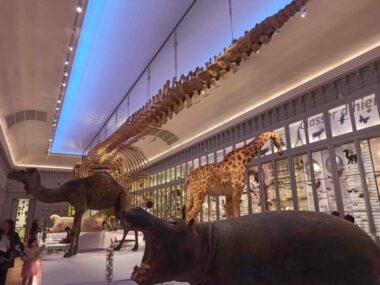 visiter bordeaux gironde