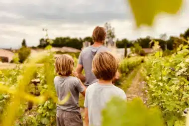vignoble-en-famille.jpg