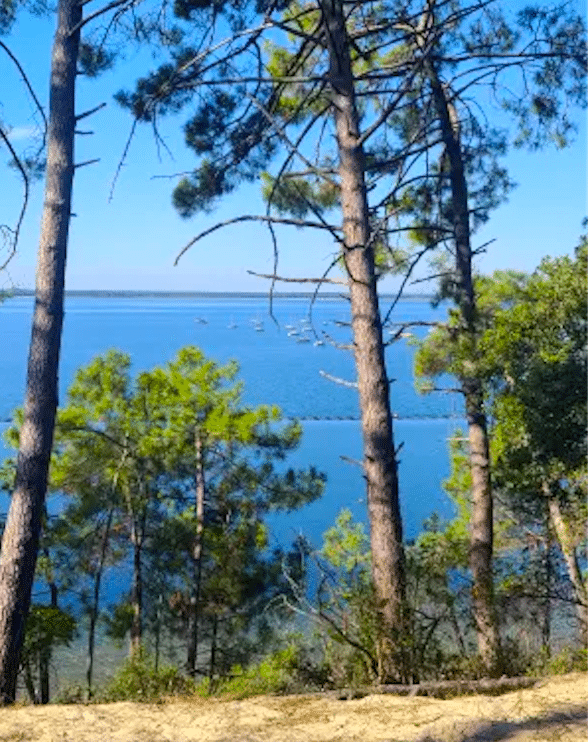 Activités familles à Bordeaux et alentours