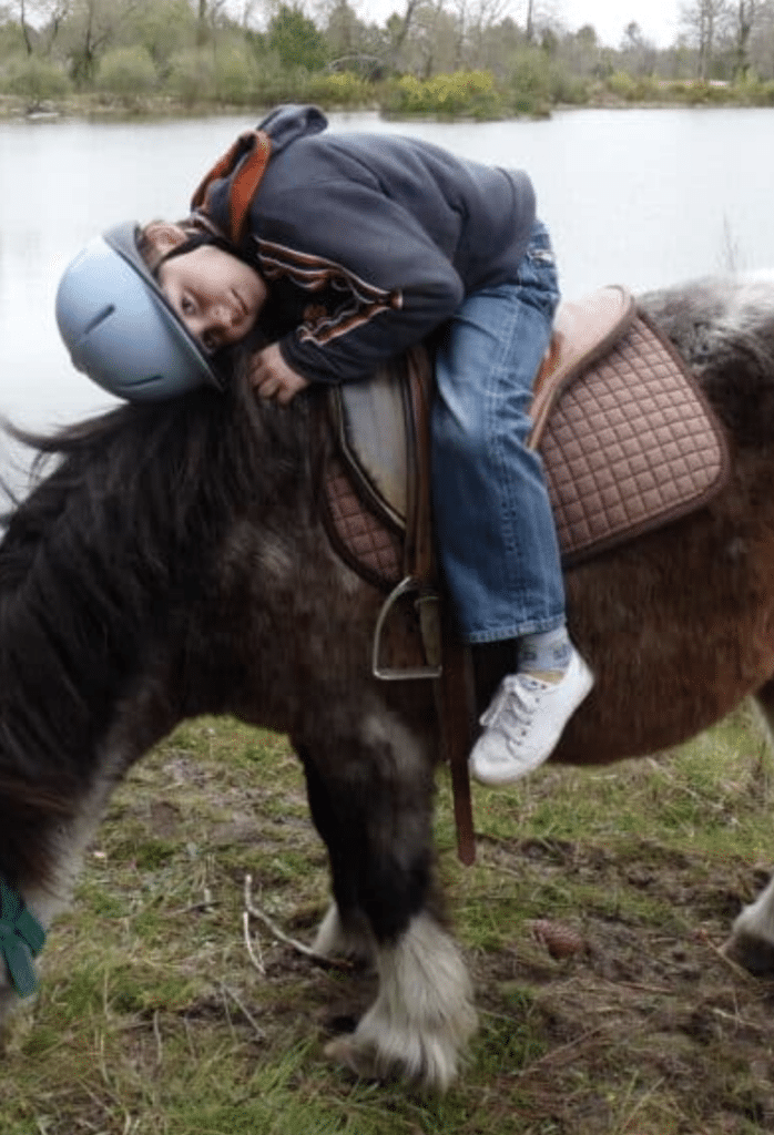 Chasse aux œufs Animalia 2026 poney
