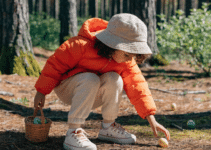 Parc Animalia chasse aux oeufs réduction 2026