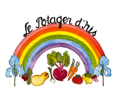 colonies de vacances médoc océan