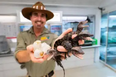 parc-animalier-bordeaux