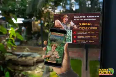 planet-exotica-bon-plan