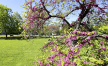 Le parc Treulon à Bruges : une sortie nature et culture