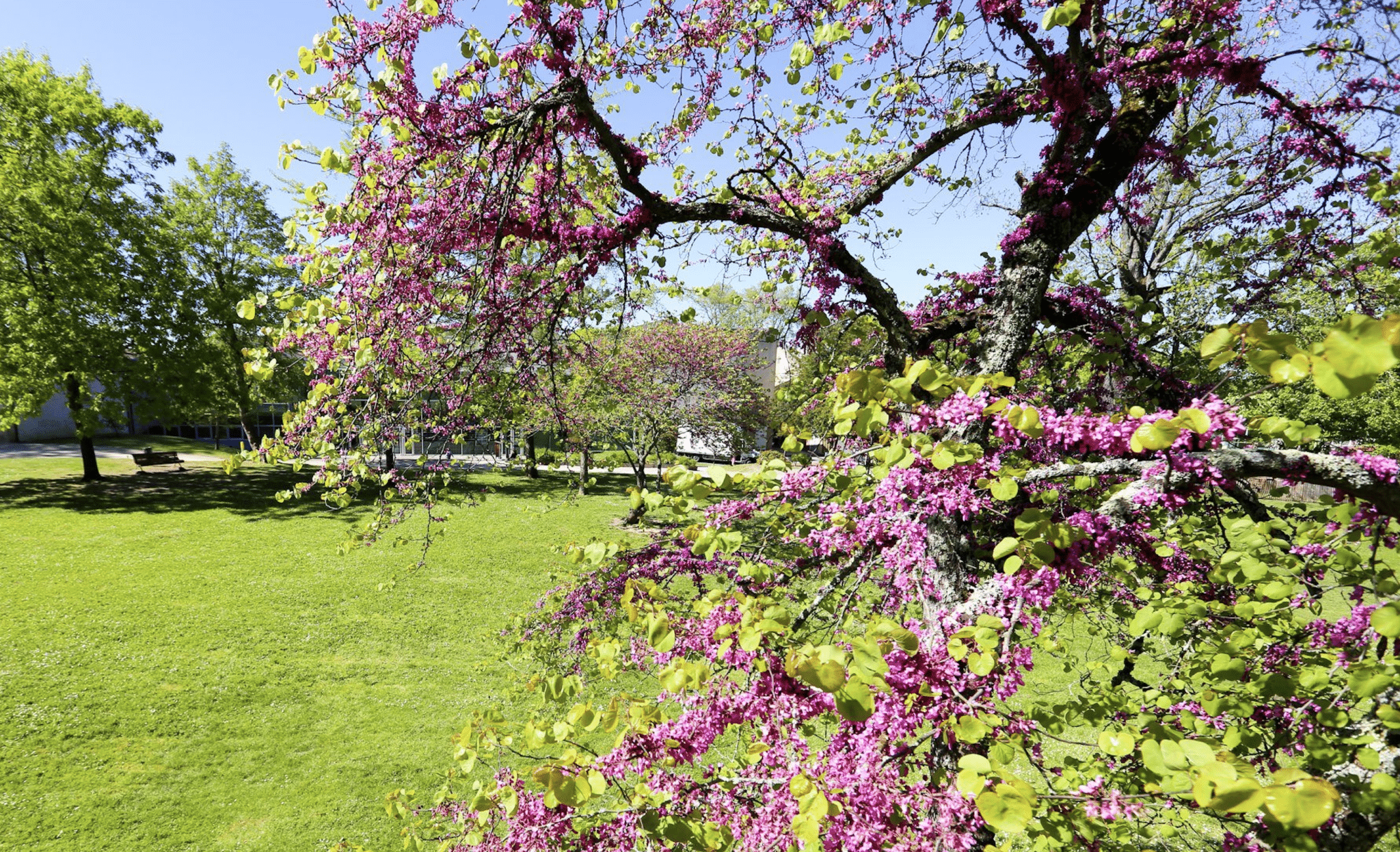 Parc Treulon