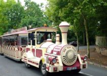 petit-train-arcachon-conseils