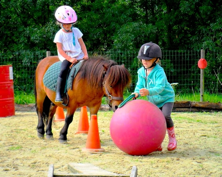 Baby-poney gironde bordeaux