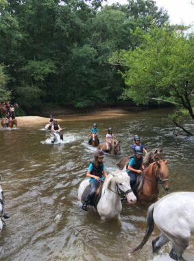 activités-poney-gironde-bordeaux
