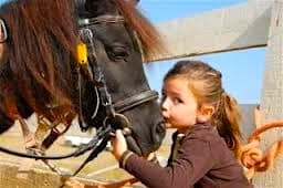balade poney gironde