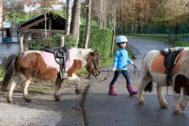 balade-poneys-famille-gironde
