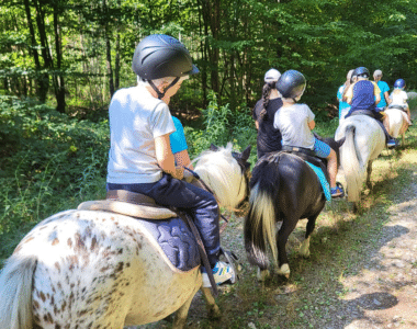 balade-poney-gironde-bordeaux