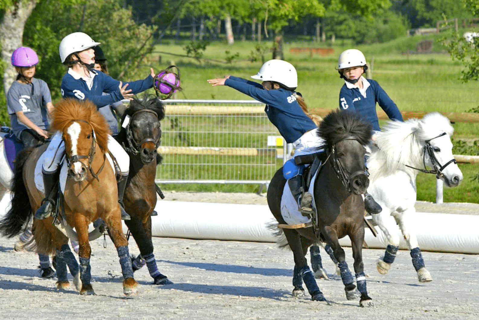 poney club bordeaux