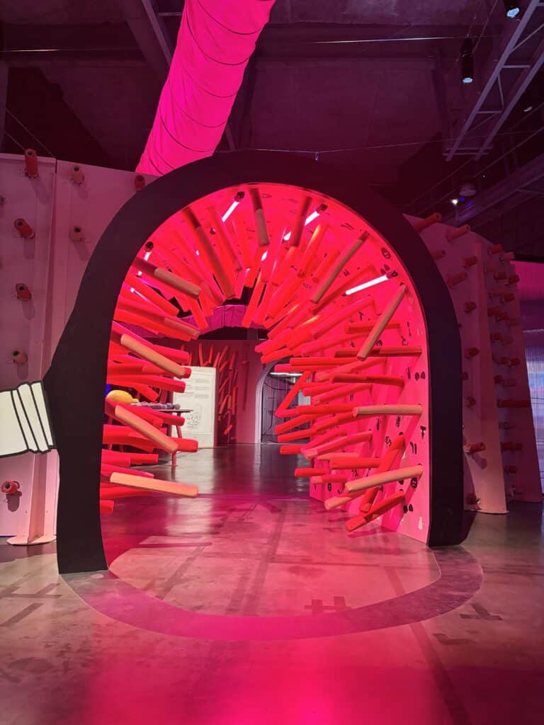 Crotte Cap sciences exposition intestin